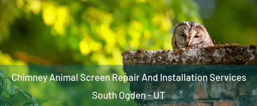  Chimney Animal Screen Repair And Installation Services South Ogden - UT