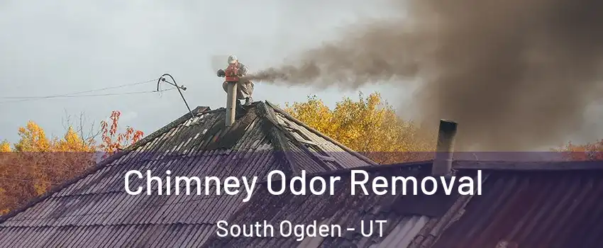 Chimney Odor Removal South Ogden - UT