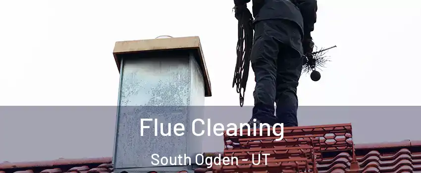 Flue Cleaning South Ogden - UT